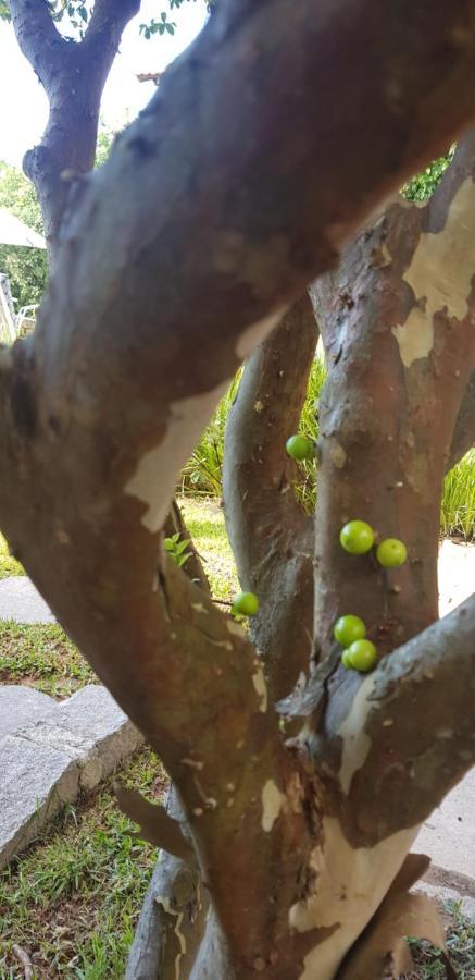 Pousada Guaruja Bombinhas Luaran gambar